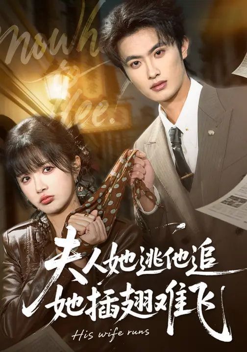 夫人她逃他追，她插翅难飞(全集)